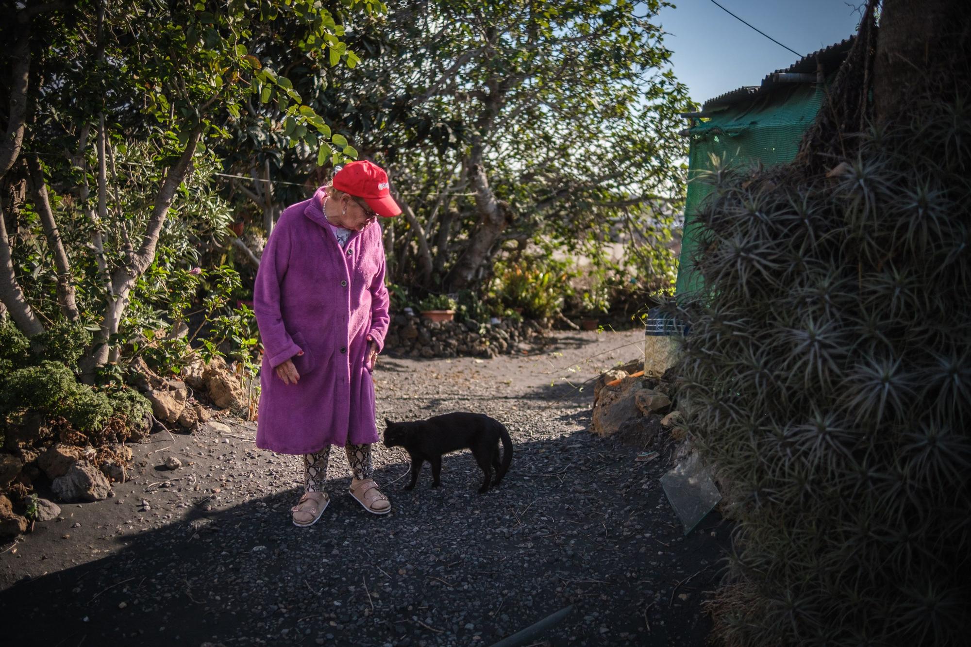 Regreso a casa de vecinos afectados por el volcán de La Palma.