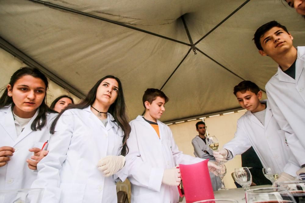 VIII Certamen de Ciencias de la Vega Baja