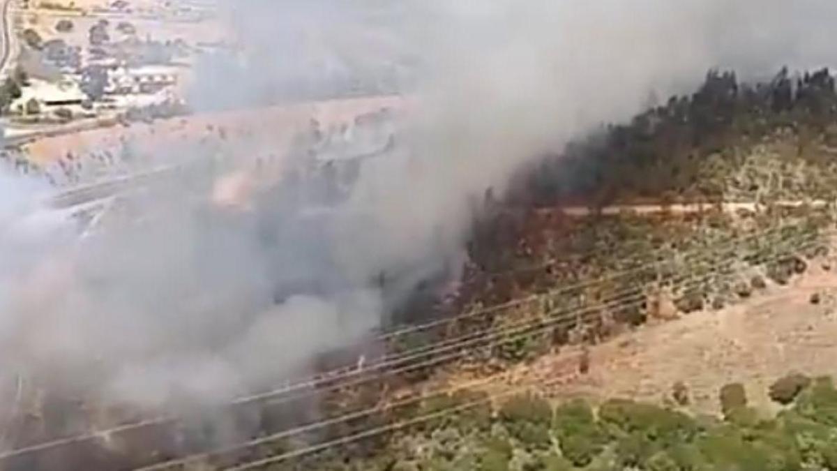 Vídeo | Así se ve el incendio declarado este sábado en la zona del Puerto de los Castaños