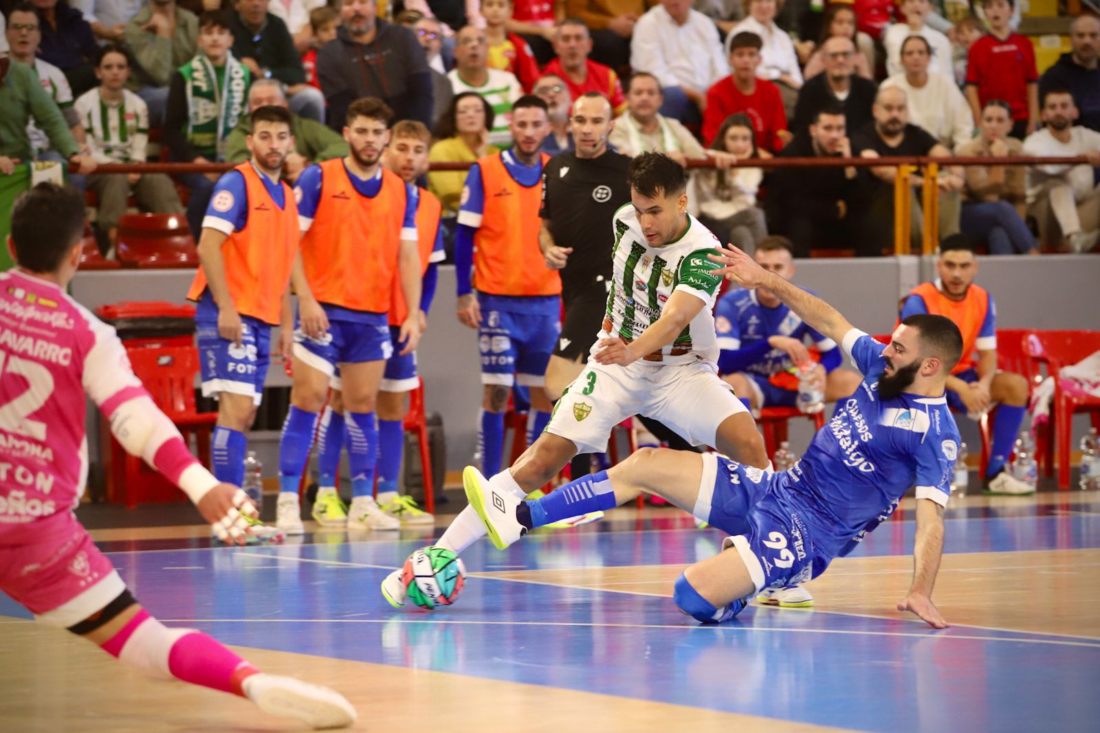 Córdoba Futsal - Manzanares : el partido en Vista Alegre en imágenes