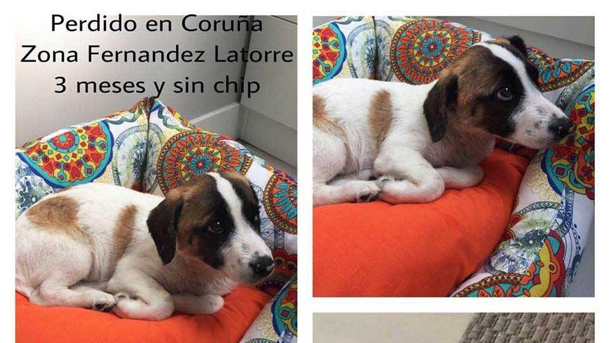 Se busca a George