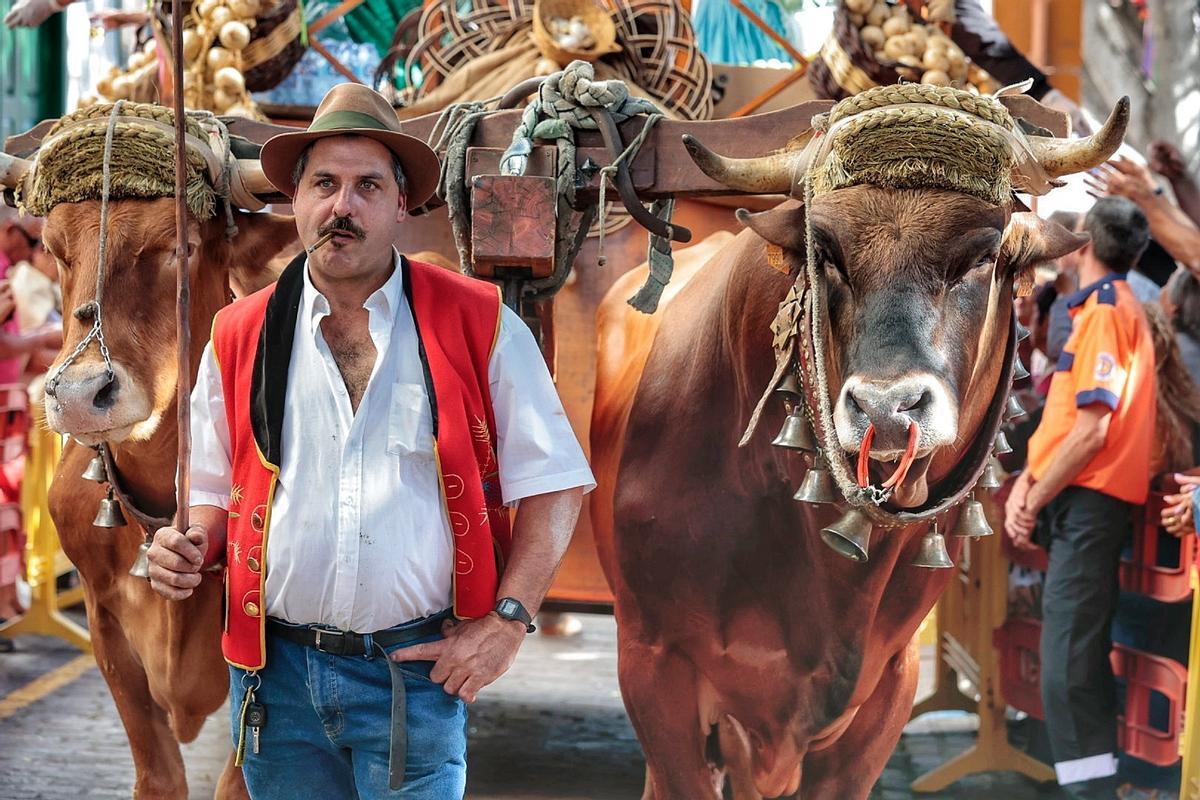 Imagen de la romería de Arona del año pasado por San Antonio Abad.