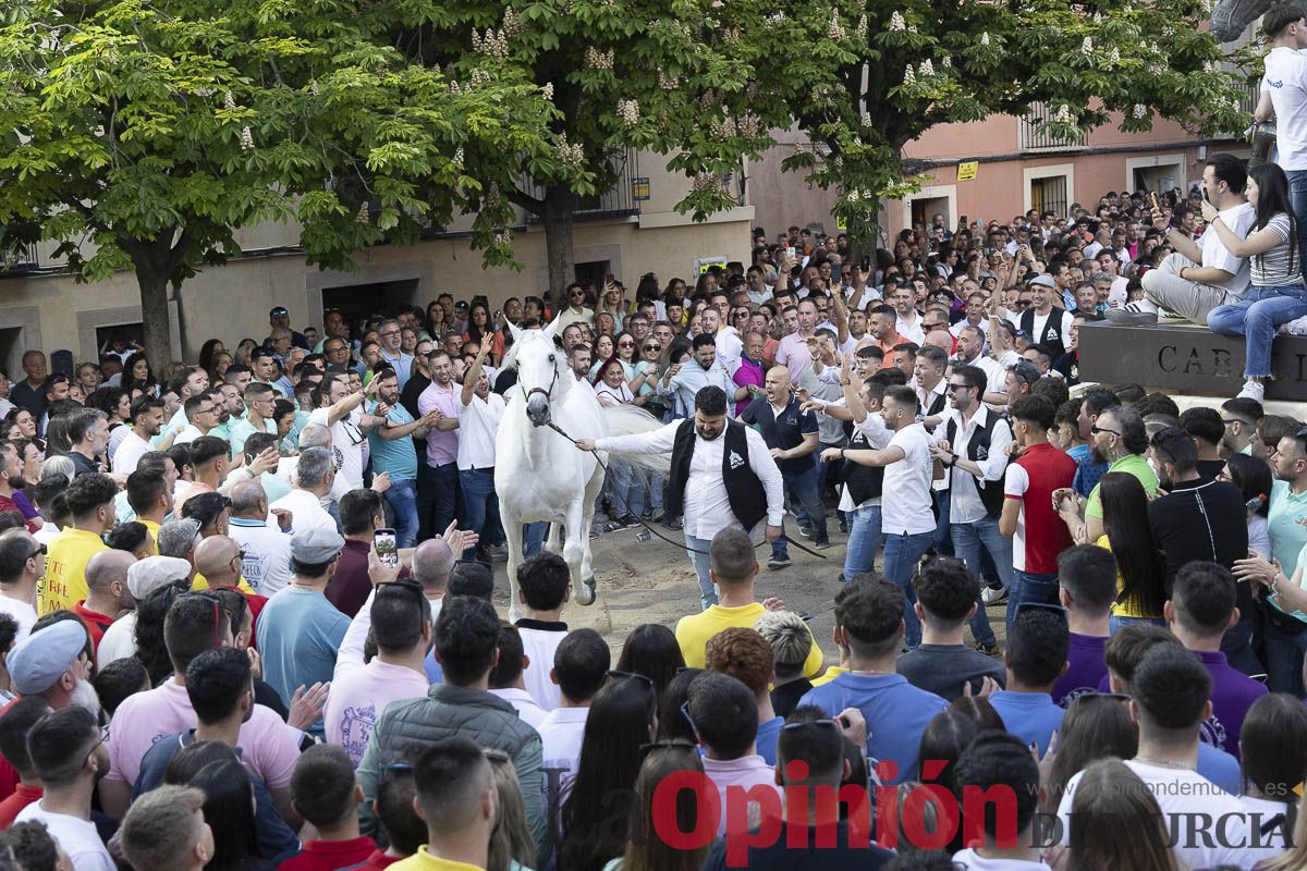 Fiestas de Caravaca | Entrega de premios del concurso morfológico