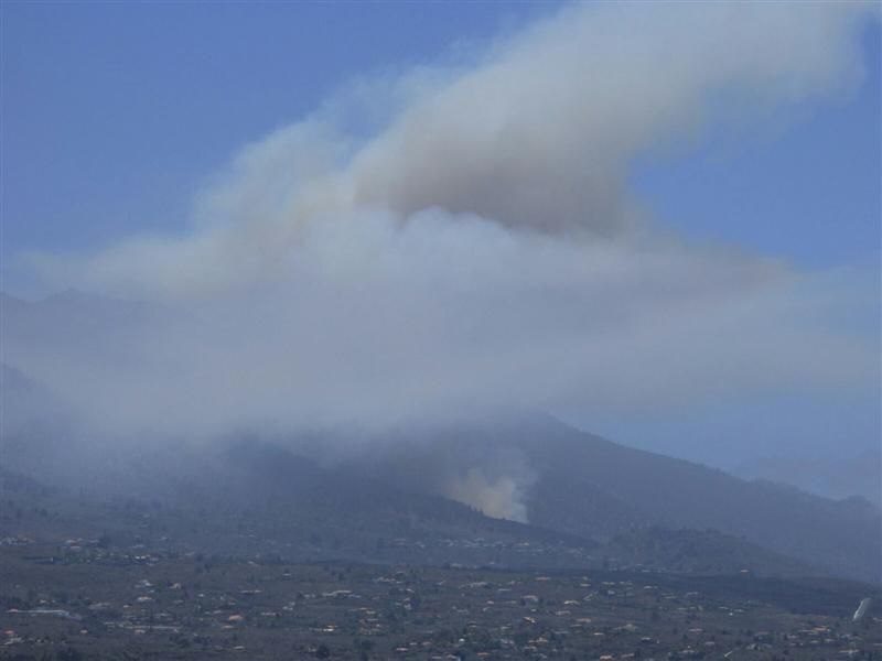 Incendio forestal en la zona de Las Manchas, en La