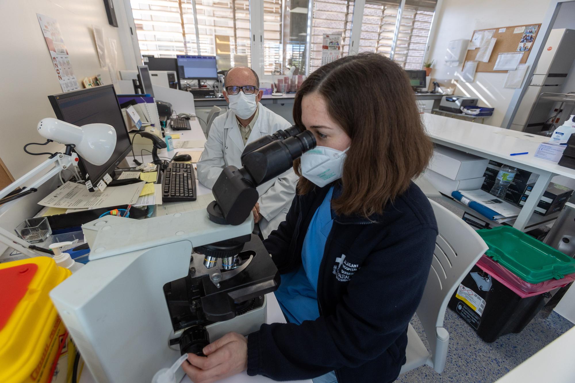 Investigación en virus y bacterias