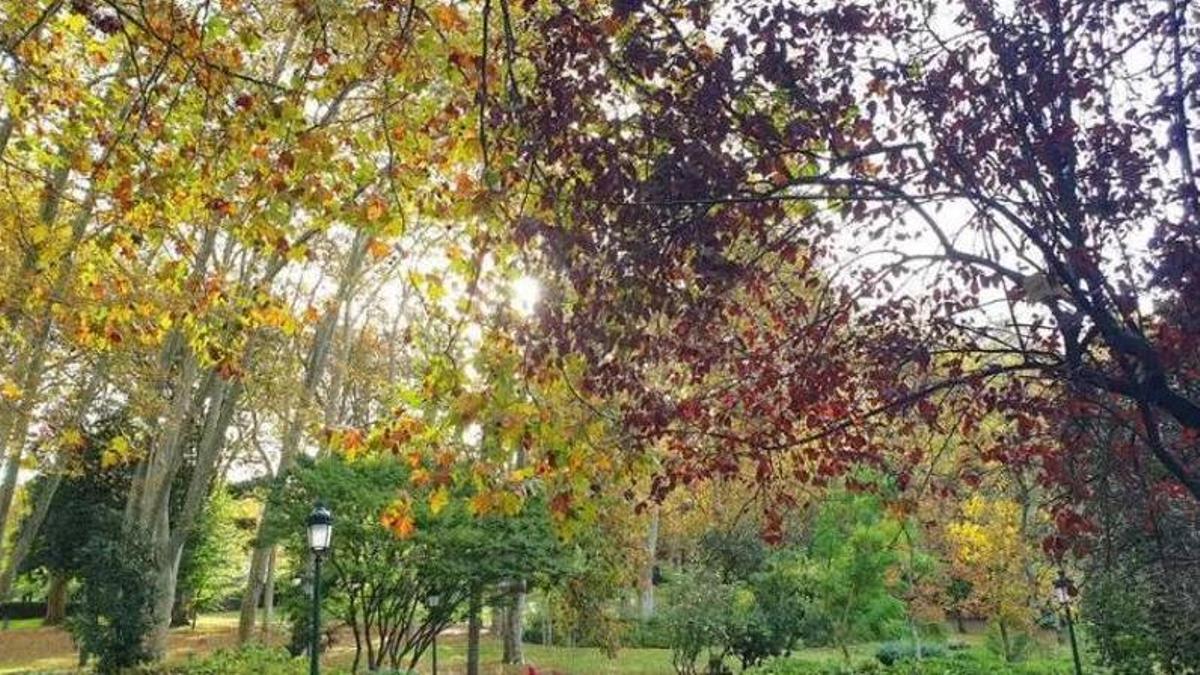 El parque de Castrelos, el gran pulmón urbano de Vigo.