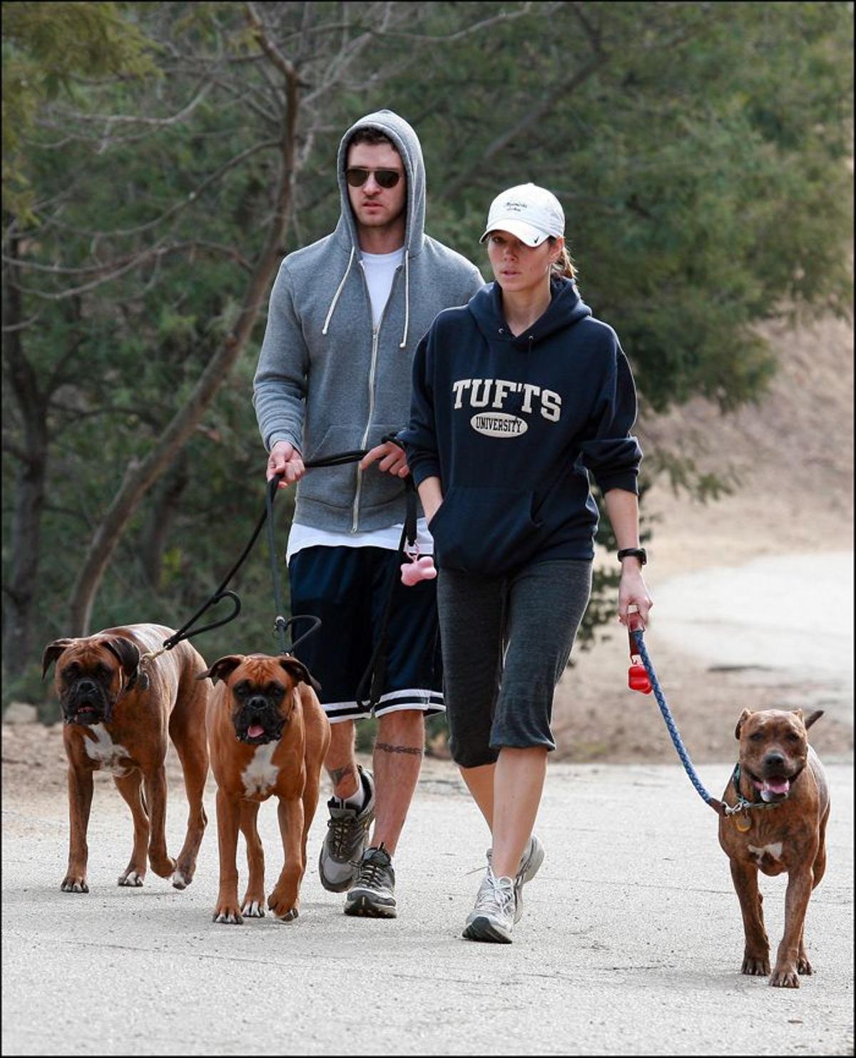 Paseos con los perros