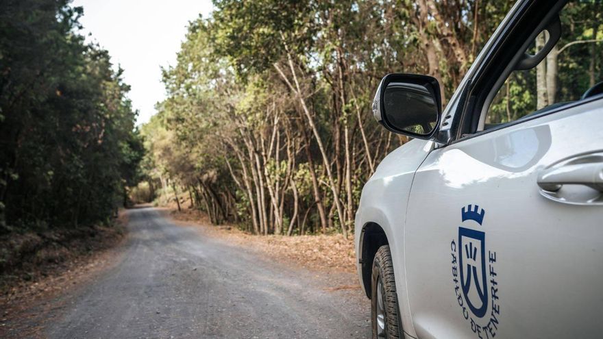 Tenerife abre los senderos forestales pero mantiene la prohibición de hacer fuego o fumar en areas recreativas