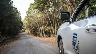 Tenerife abre los senderos forestales pero mantiene la prohibición de hacer fuego o fumar en areas recreativas
