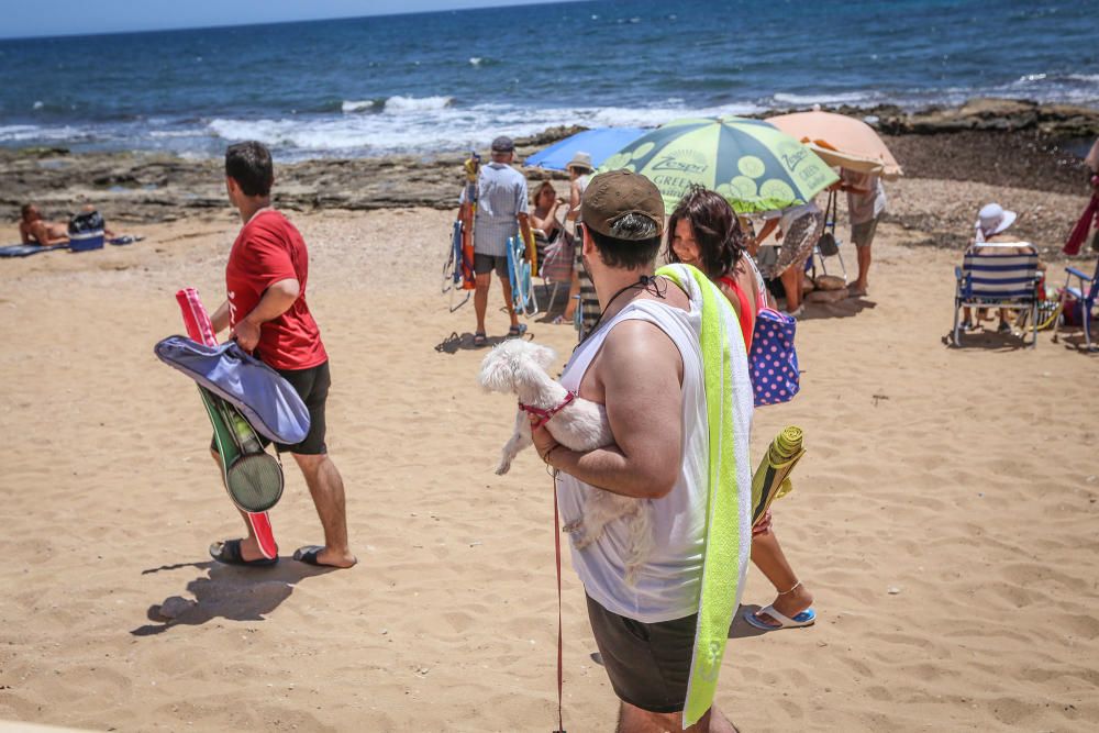 Los bañistas están acudiendo con perros a Punta Margalla y Cala del Moro, las dos playas autorizadas para perros, sin que el Ayuntamiento las haya señalizado todavía.