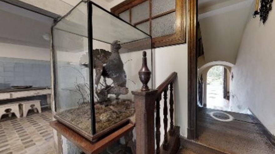 ¿Hay un urogallo disecado en la casa de los Franco en Llanera? Así es la pieza en una urna de cristal en el interior de la propiedad