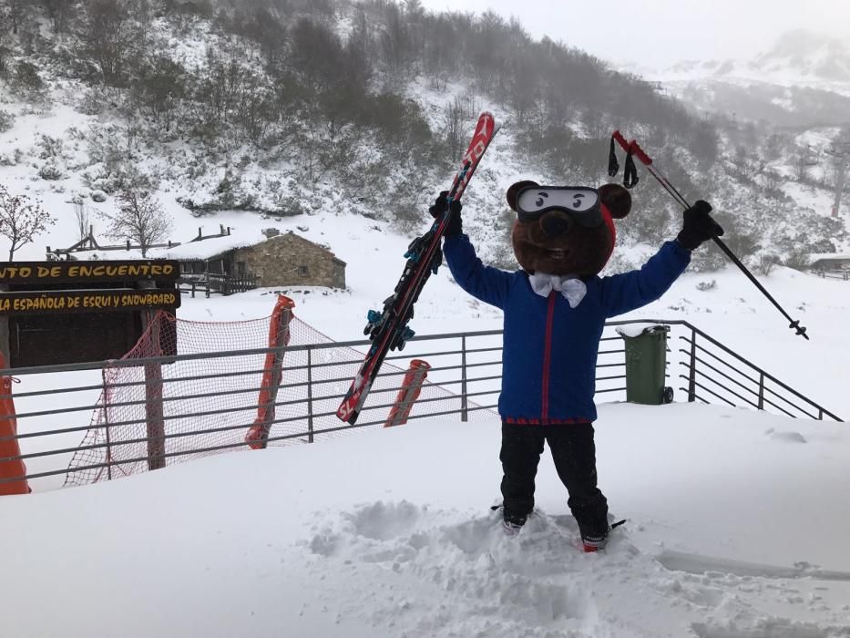 Asturias bajo el primer manto de nieve del año