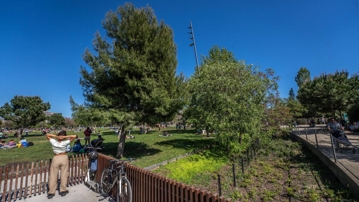 La plaza de las Glòries, bendecida por las lluvias de este 2025 en la ciudad.
