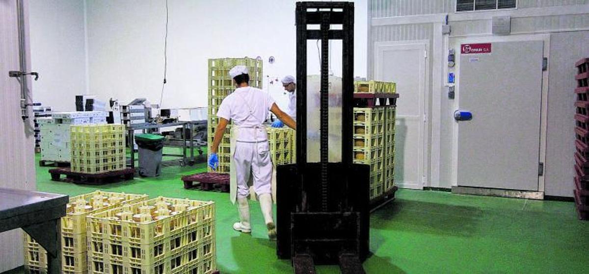 Leche Gaza mantiene su cuota eléctrica gracias a un acuerdo anual, aunque teme que la situación dé la vuelta con la llegada del nuevo año. | LOZ