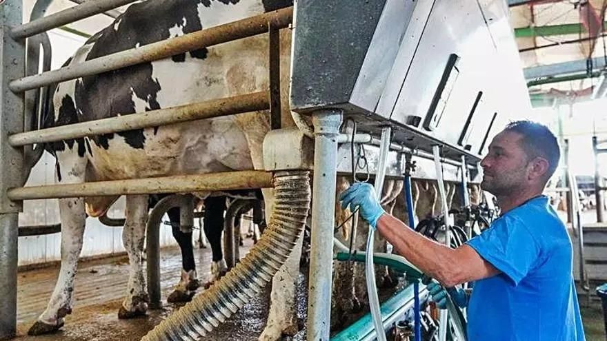 El vacuno de leche, principal afectado en el campo cordobés por el apagón eléctrico