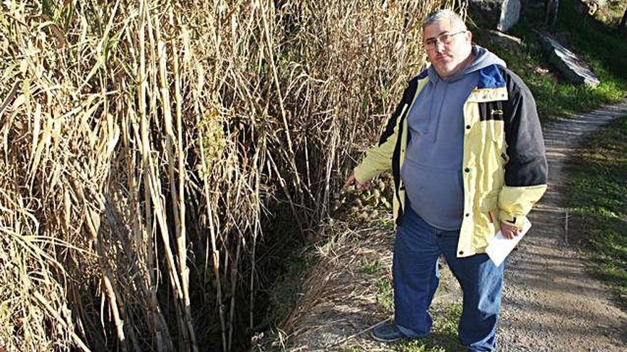 Un camí intransitable cap a la Font dels Llops