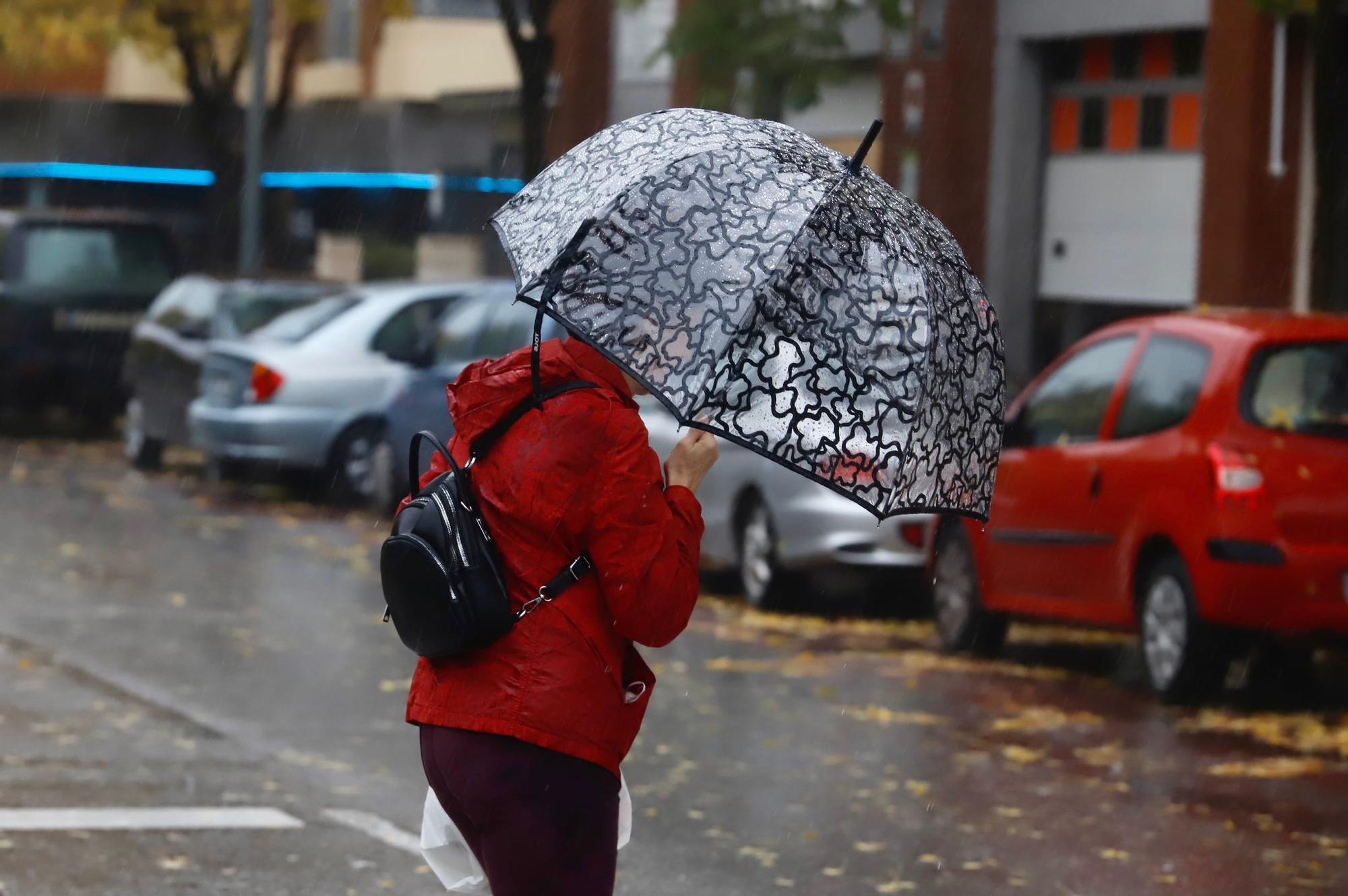 Caen en Córdoba más de 40 litros en doce horas