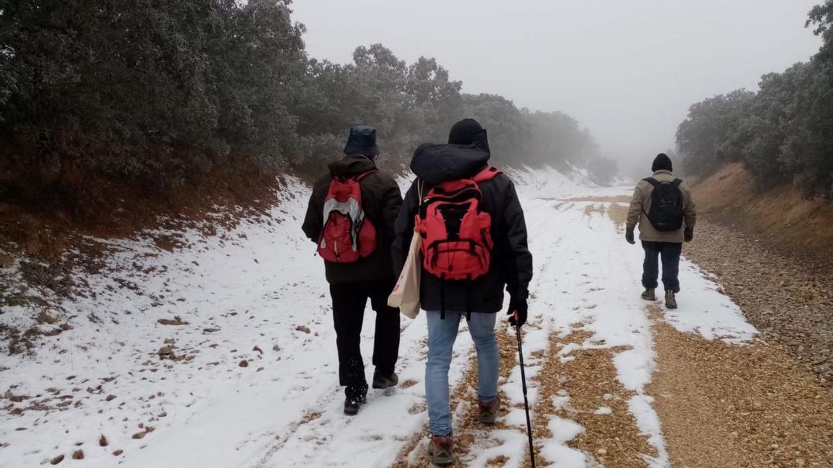 Arriba, un grupo de peregrinos recorre el Camino Sanabrés en invierno. Abajo,señalización de una ruta jacobea en la provincia. |  Ch. S