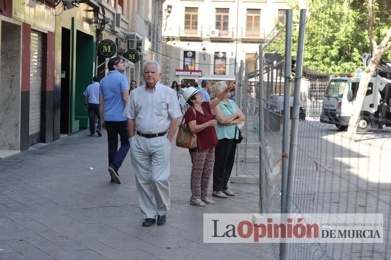 El día después de la caída de la rama del ficus de