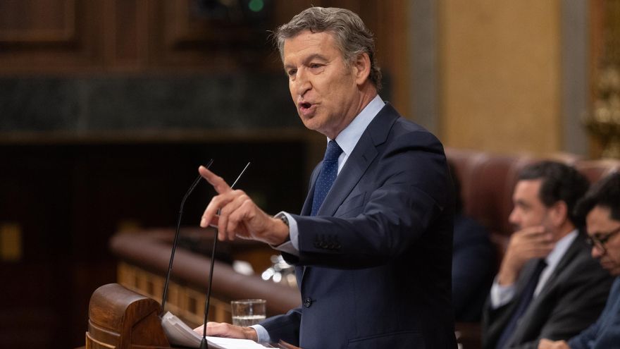 Alberto Núñez Feijóo, durante una intervención en el Congreso.