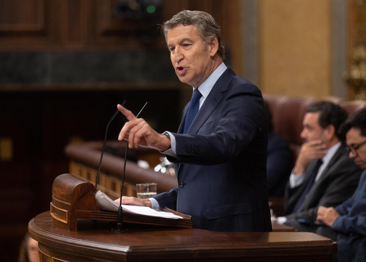 Alberto Núñez Feijóo, durante una intervención en el Congreso.