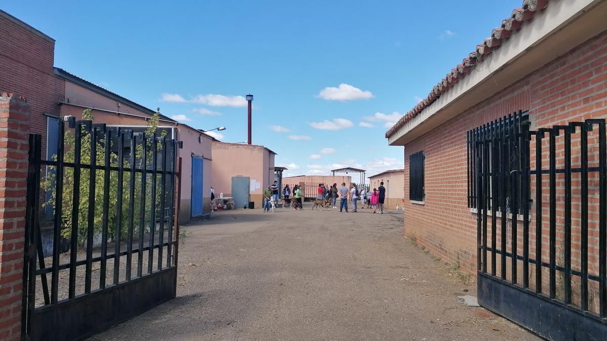 Refugio en el que los voluntarios atienden a los animales abandonados en Toro.