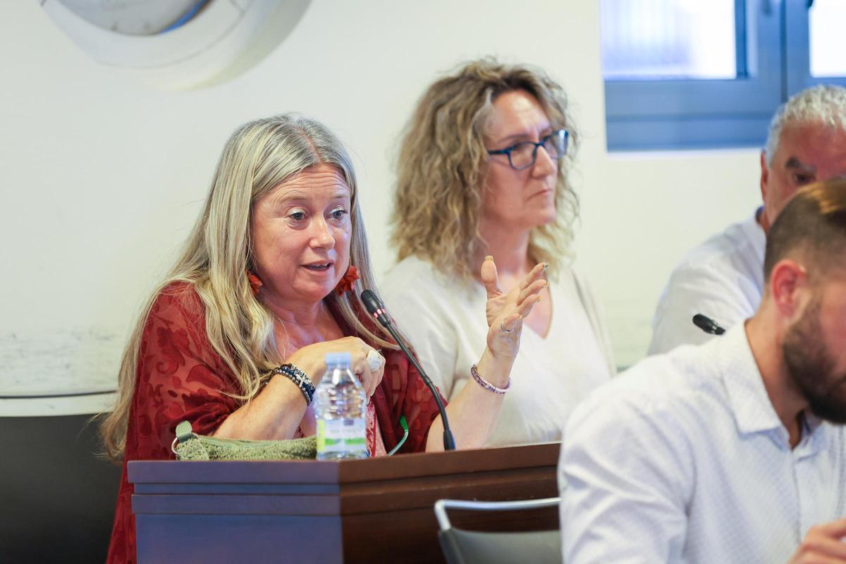 Esperanza Arias, en un pleno