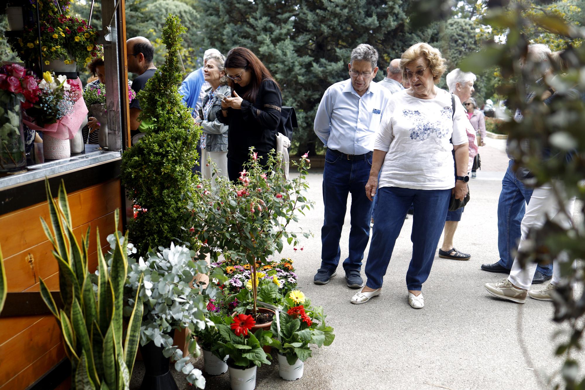 Tercera edición de Zaragoza Florece