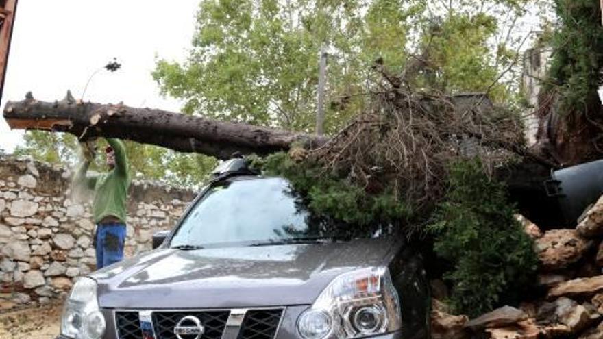 Un home talla un arbre caigut a sobre d&#039;un cotxe a Valls.