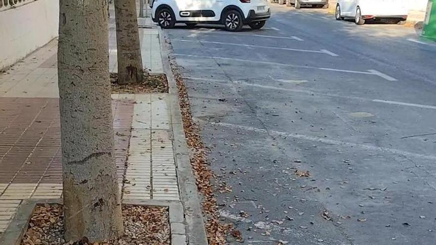 Suciedad en la avenida Holanda de Alicante