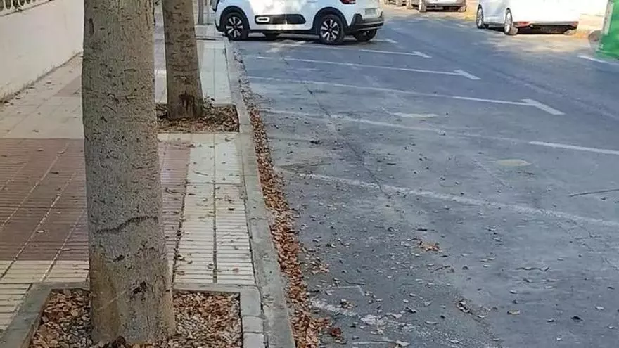 Suciedad en la avenida Holanda de Alicante