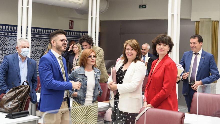 El PSOE pedirá que se prohíban expresamente las terapias de conversión - La  Opinión de Murcia
