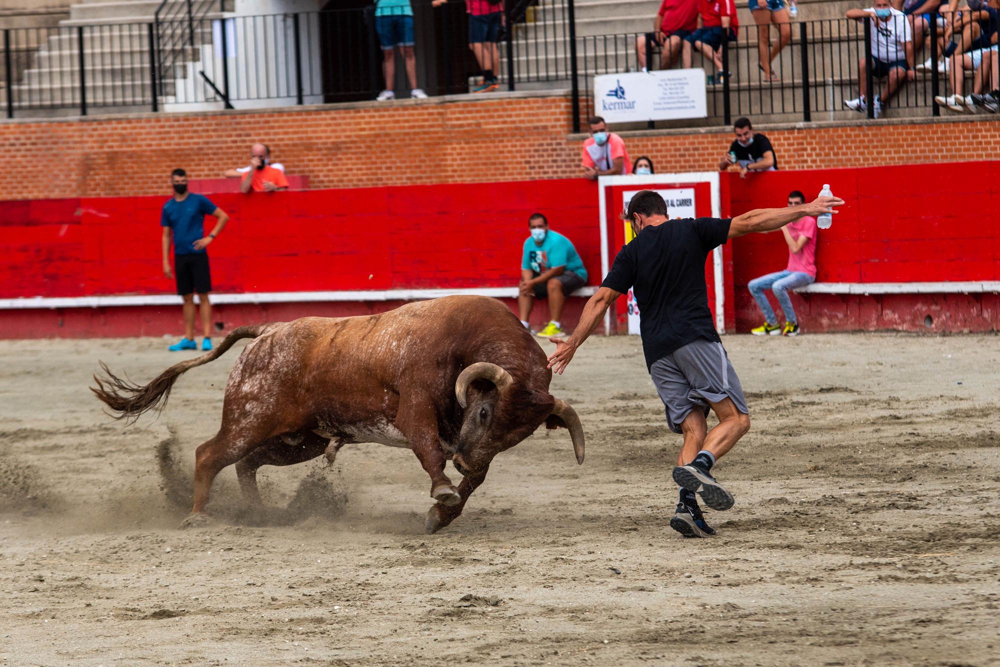 La Pascua Taurina devuelve tras 565 días la emoción de los ‘bous’ a Onda