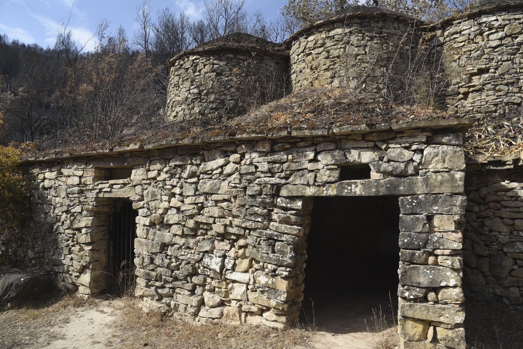 Així ha afectat el foc les tines de la Vall del Flequer