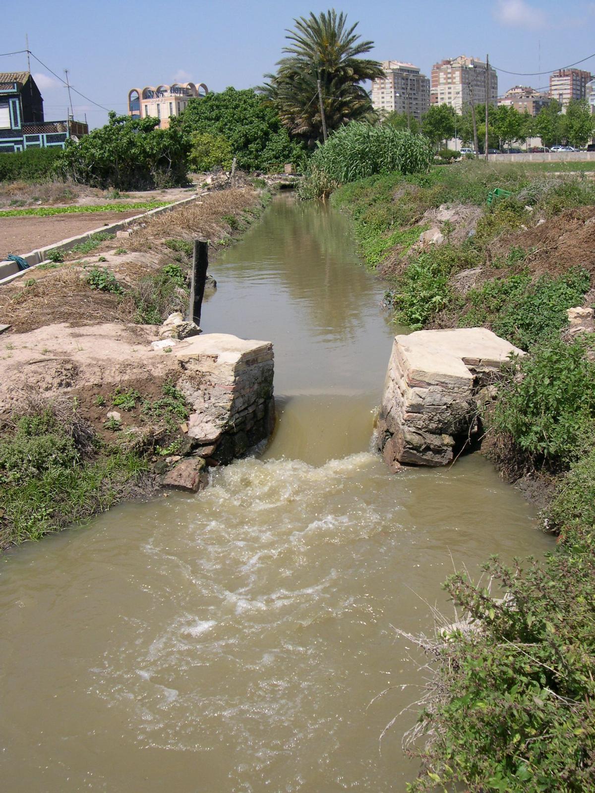 4.Braç del Pou de n'Aparici.