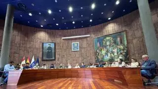 El Cabildo de La Gomera actualiza el plan estratégico de subvenciones