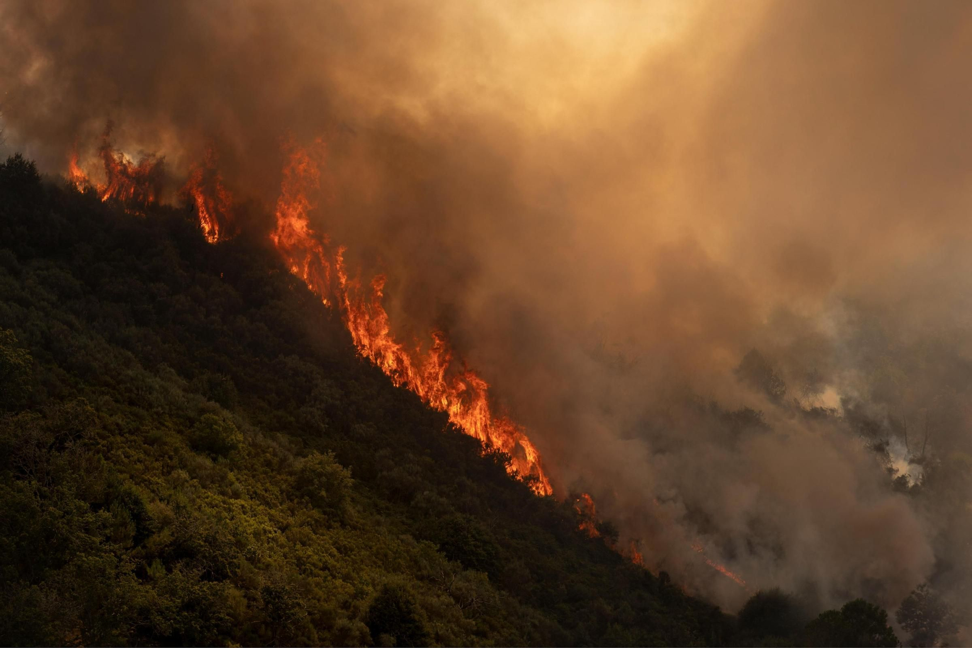 Los incendios sacuden Galicia