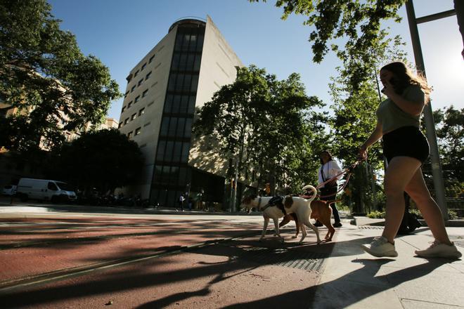 La Diputación de Barcelona invertirá 15 millones para resucitar un edificio enfermo de la Diagonal cerrado desde 2010