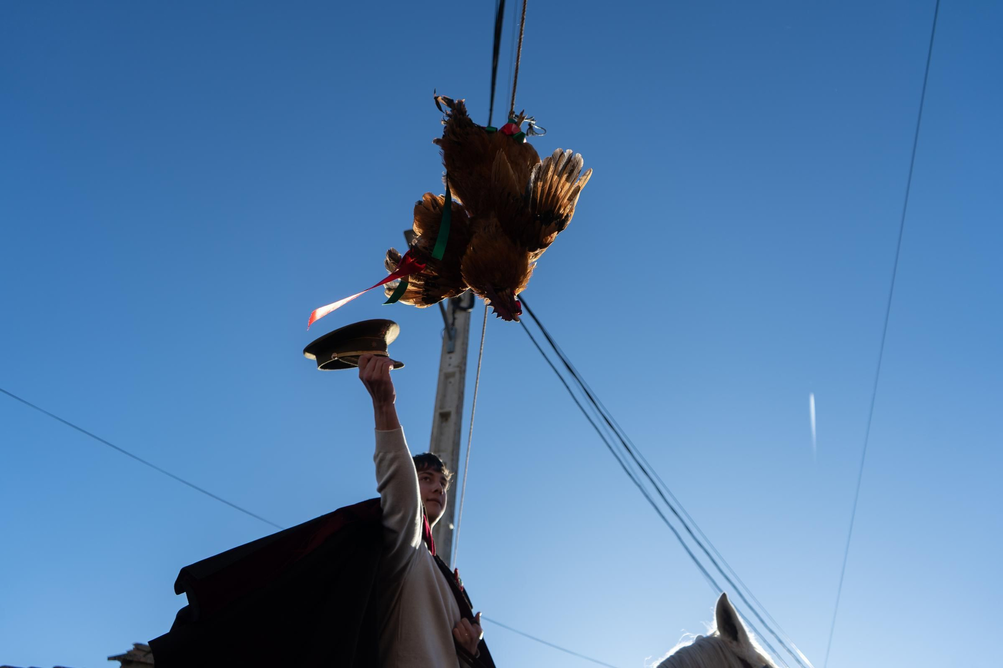 GALERÍA | Fiesta de los quintos en El Pego