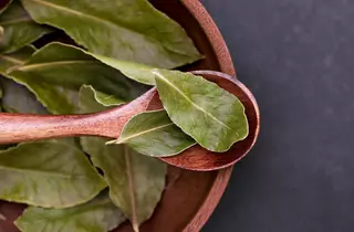 VÍDEO | ¿Es peligroso el laurel? Estas son las contraindicaciones de la planta de moda