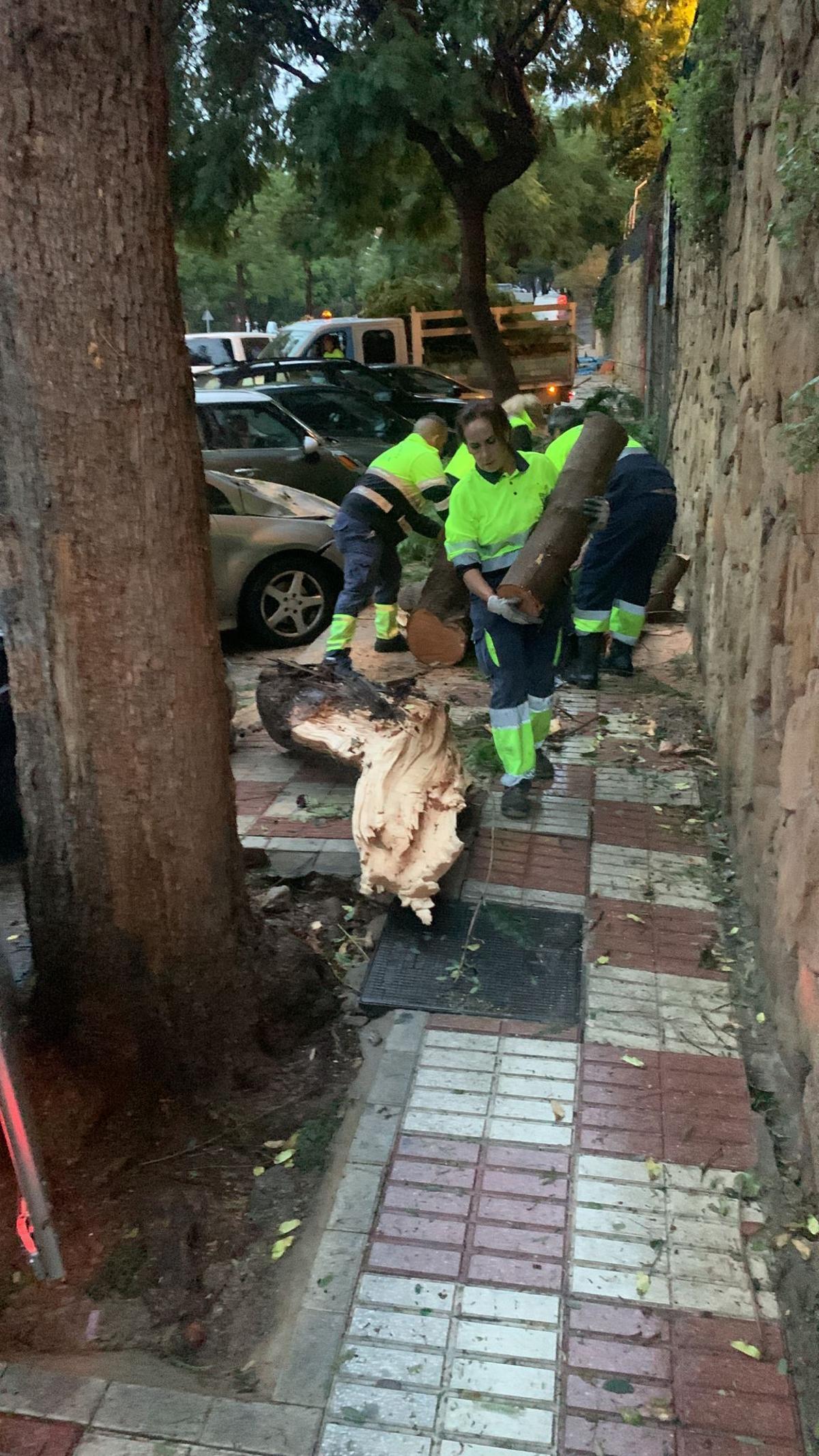 Daños por el tornado de Marbella