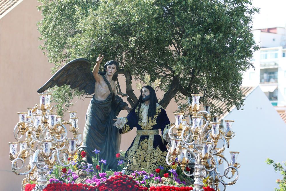 Domingo de Ramos l Huerto