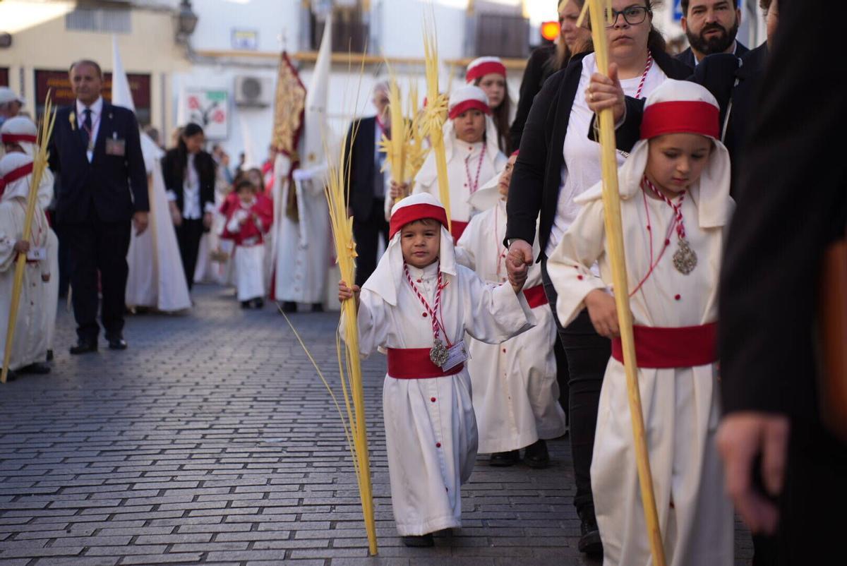 Córdoba. Semana Santa 2026 Domingo de Ramos cofradía hermandad Borriquita Hermandad y Cofradía de Nuestro Padre Jesús de los Reyes en su Entrada Triunfal en Jerusalén, María Santísima de la Victoria y Nuestra Señora de la Palma