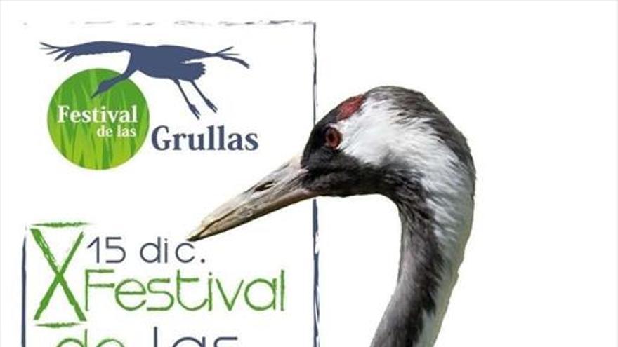 El Festival de las Grullas se celebra este sábado con más de veinte actividades