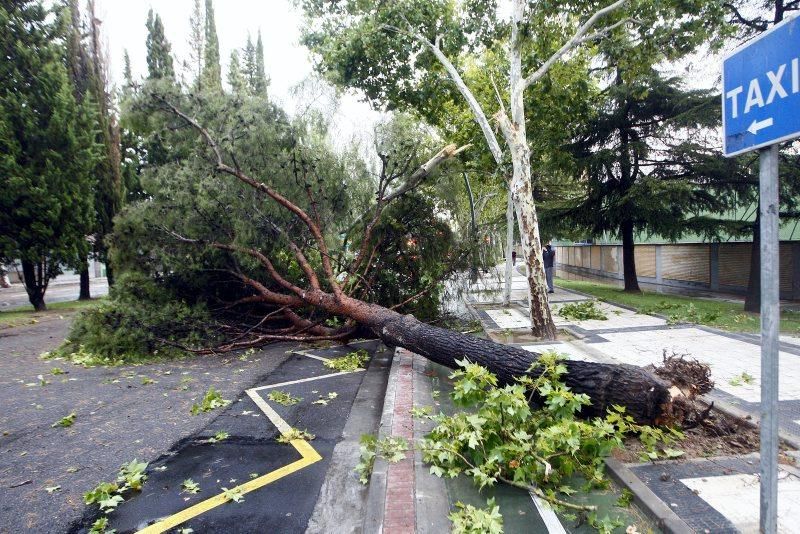 Fuerte tormenta en Zaragoza