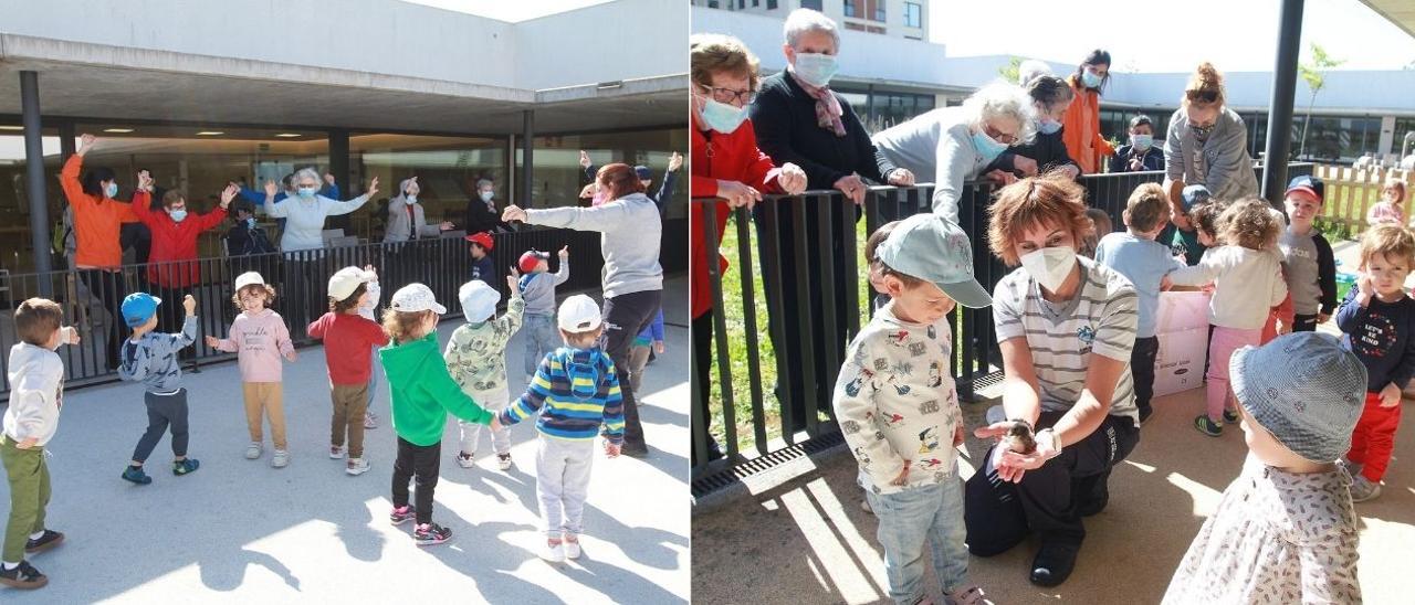 Mayores y niños del centro intergeneracional, compartiendo una actividad de baile y con unos pollitos nacidos en el propio complejo. // FOTOS: IÑAKI OSORIO