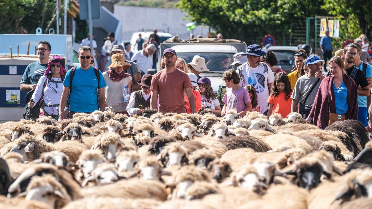 Miles de personas eligen Caideros y la Fiesta de la Lana para celebrar el Día de Canarias