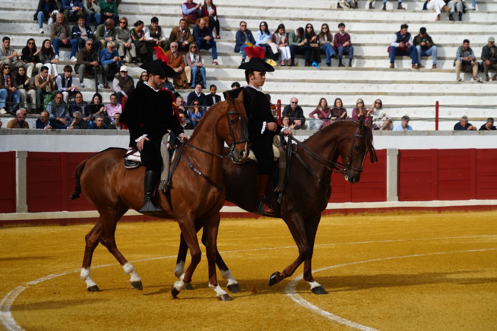 El festejo taurino de Pozoblanco, en imágenes