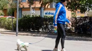 Vecinos del Pau I ante las trampas para mascotas: "Pueden matarte al perro o condenarle a una operación que cuesta un dineral"
