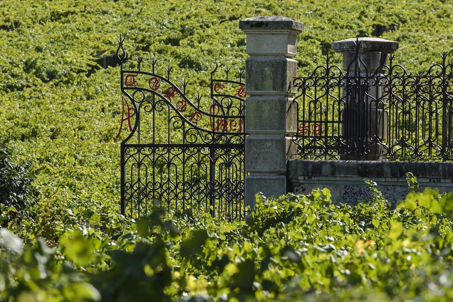 La entrada a Bodegas Granbazán
